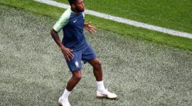 البرازيلي فريد