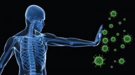 556dab64c46188385b8b456f