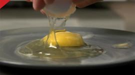 اللحوم والبيض يسبب السرطان