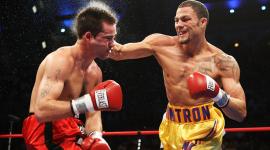 لعبة الملاكمة