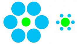 الخدع البصرية تكشف سمات مشتركة بين عقول البشر والأسماك