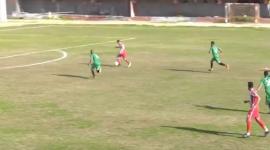 الزيتون والحوانين