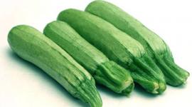 498759c105eaeb5f18e213c1aeda48ef