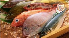 alalam_635675860977632348_25f_4x3