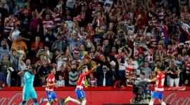 فرحة غرناطة