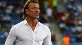 المدرب هيرفي رينارد