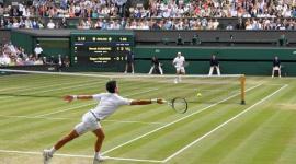 ديوكوفيتش وفيدرر