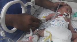 مولود جديد في الصين