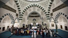 482f7156-9085-4039-a66a-056fa78fcb15