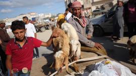 عدسة صفا تتجول في سوق الحلال بغزة