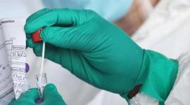 13 رياضيًا أصيبوا سابقًا بفيروس كورونا في غزة