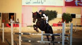 جانب من منافسات السباق