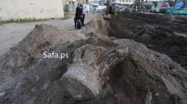 صورة إرشيفيه