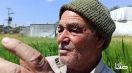 "خزاعة" ريف غزة الجميل