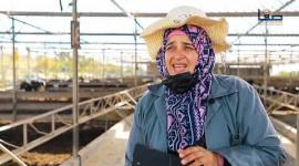 أول محجر بيطري في تاريخ السلطة الفلسطينية بغزة