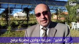 "زاد الخير".. مزرعة دواجن عصرية برفح