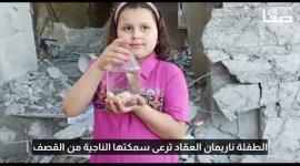 الطفلة ناريمان العقاد من خانيونس ترعى سمكتها الوحيدة الناجية من قصف الاحتلال