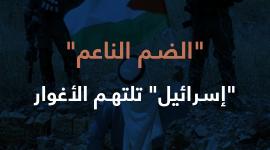 "الضم الناعم".. "إسرائيل" تلتهم الأغوار بصمت