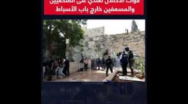 قوات الاحتلال تعتدي على الصحفيين والمسعفين خارج باب الأسباط