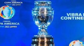 كأس البطولة