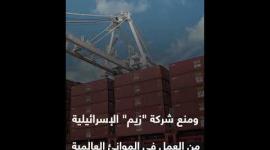 "أوقفوا السفن".. حملة أمريكية ضد "إسرائيل"