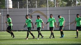 فريق الزيتون