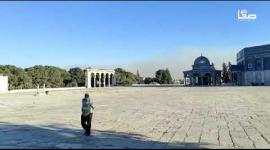 دخان كثيف من حرائق القدس يظهر في سماء الأقصى