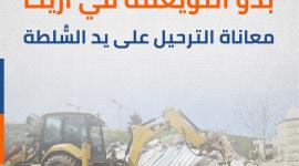 بدو النويعمة في أريحا معاناة الترحيل على يد السُّلطة