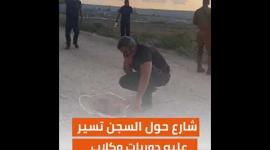 فرار الأسرى من "جلبوع".. ثقب بقلب السجن الأكثر تحصينًا