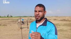 صيد العصافير قرب حدود غزة.. هواية محفوفة بالمخاطر