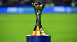 كأس البطولة