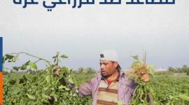 2021 ... انتهاكات الاحتلال تتصاعد ضد مزارعي غزة