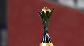 كأس البطولة