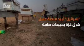 "إسرائيل" تبيد منحلة عسل شرق غزة بمبيدات سامة