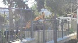 بلدية الاحتلال تشرع بهدم مشتل صالحية في الشيخ جراح