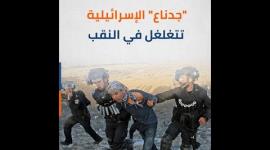 "جدناع" الإسرائيلية تتغلغل في النقب