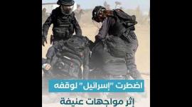 "تشجير النقب" سلاح إسرائيلي ناعم للترحيل