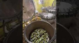 انتاج معلبات الفول بغزة