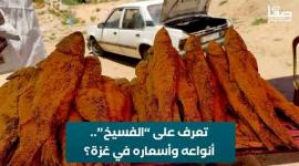 تعرف على الفسيخ.. أنواعه وأسعاره