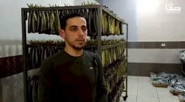 تجهيز الرنجة في غزة استعدادًا لعيد الفطر