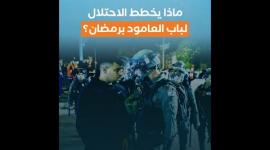 ماذا يخطط الاحتلال لباب العامود برمضان؟