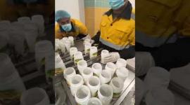 مراحل صناعة الطحينية بأحد مصانع غزة