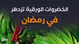 الخضروات الورقية تزدهر في رمضان