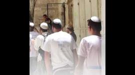 ماذا يعني "ذبح القرابين" في المسجد الأقصى؟‏