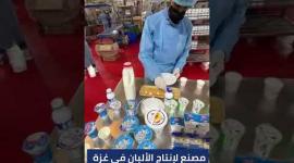 مصنع لإنتاج الألبان في غزة