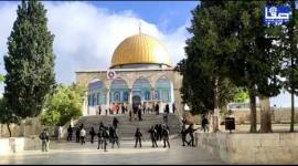 قوات الاحتلال والمستوطنون يقتحمون المسجد الأقصى