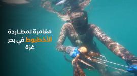 مغامرة لمطاردة الأخطبوط في بحر غزة