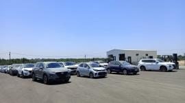 السيارات في غزة