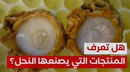 هل تعرف المنتجات التي يصنعها النحل غير العسل؟