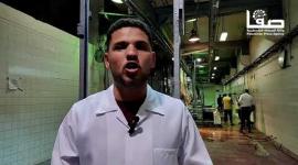 لا تذبح أضحيتك في البيت.. تعرف على السبب